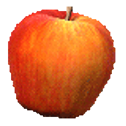 AAPL