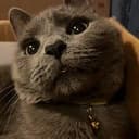 Gary