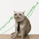 stockcat