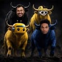 Bulls