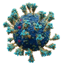 Sarbecovirus