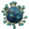 Sarbecovirus