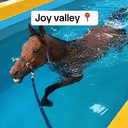 JoyValley