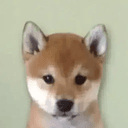 name?