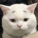 EYEBROWS