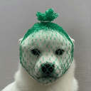 wDOG