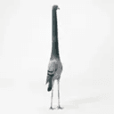 Pigeoooooon