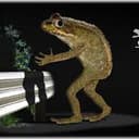 Frogman
