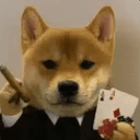CASINU