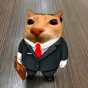 SUITCAT