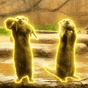 Otter