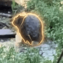 Chonketha