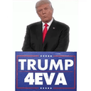 4EVA