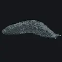 Slug