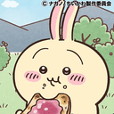 Usagi