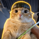 Warcat