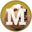 Maggie