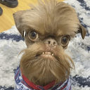 ted