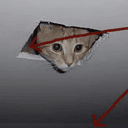 Wall Cat