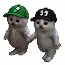 twin