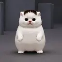 Kitten