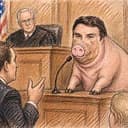 HOG