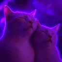 vibecats