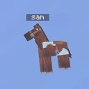 SAM