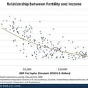 fertility