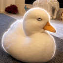 duckworth