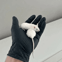 Ratcade