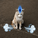 KUCING