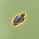 Squirt