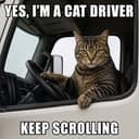 CATDRIVER