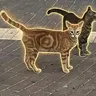 Psyop