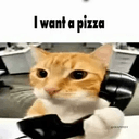 callcat