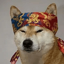 狗