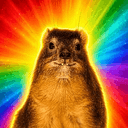 HYRAX