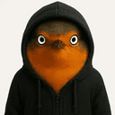 RIF