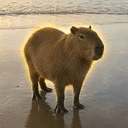 Capybara