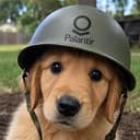 WDOG