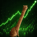 Looongcat