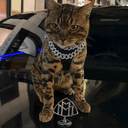 maybach