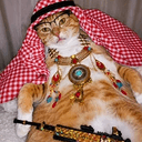 ARABCAT
