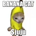 juju