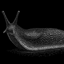 SLUG