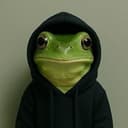 hoodfrog