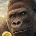 SHABANI