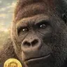 SHABANI