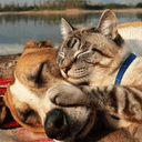 Friends